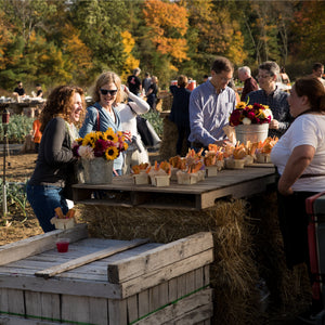 Autumn Farm Dinner