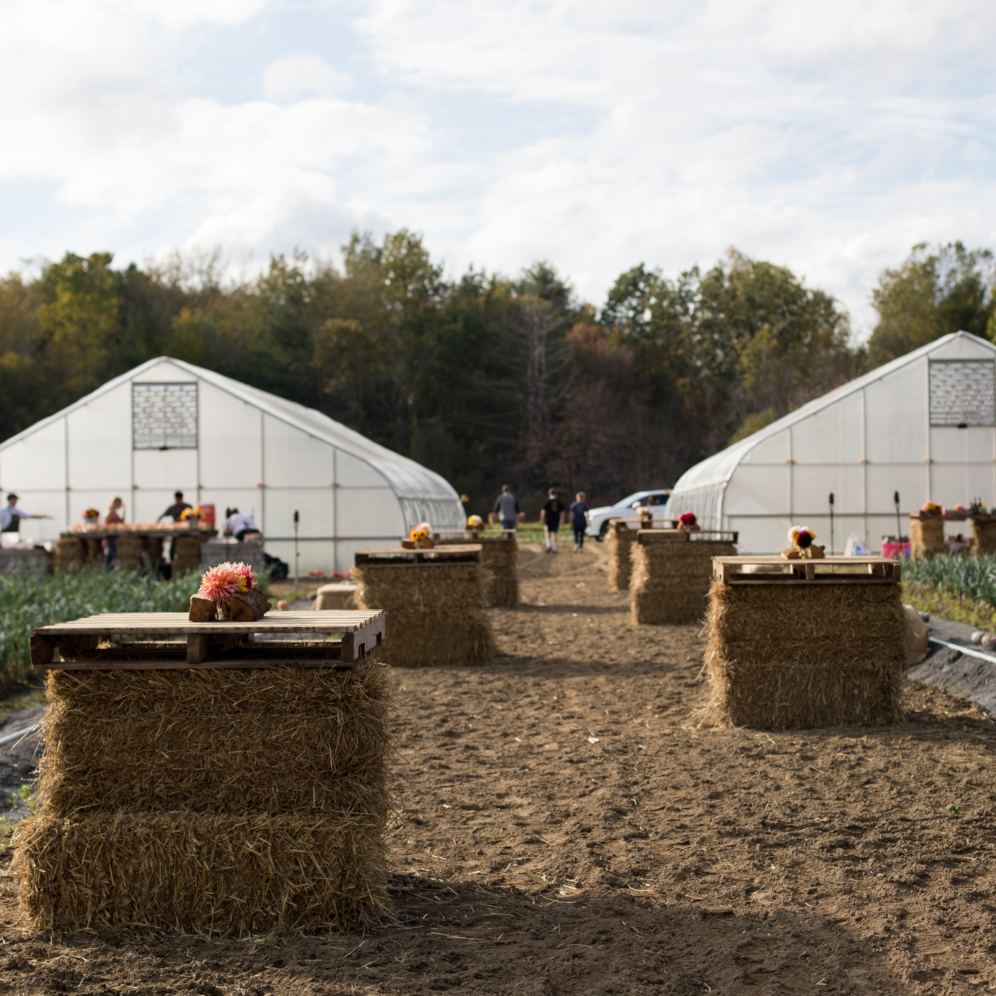 Autumn Farm Dinner