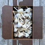 Load image into Gallery viewer, Bumper Box o&#39; Garlic

