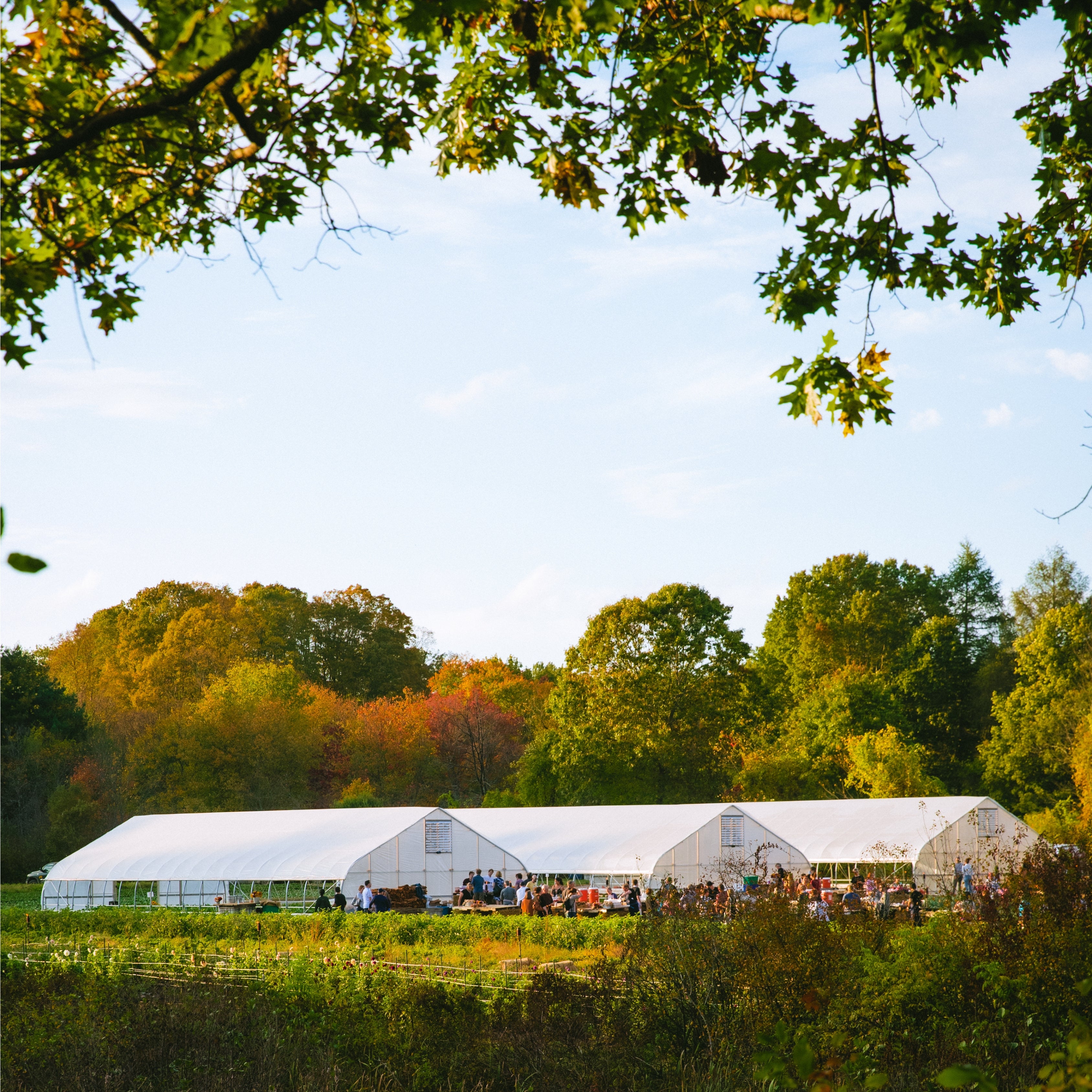 Autumn Farm Dinner