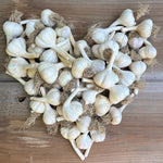 Load image into Gallery viewer, Bumper Box o&#39; Garlic
