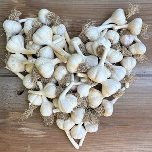 Bumper Box o' Garlic