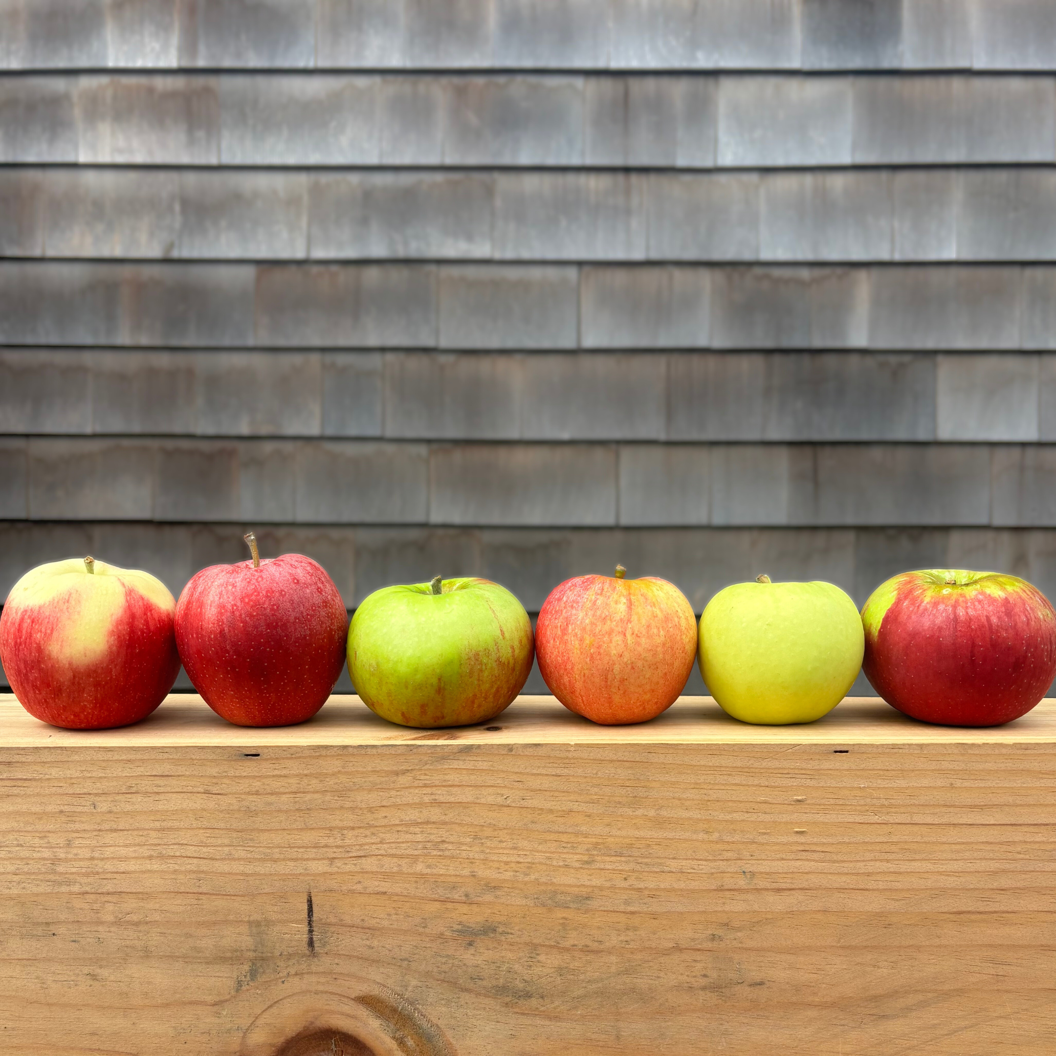 2025 Autumn Apple Share