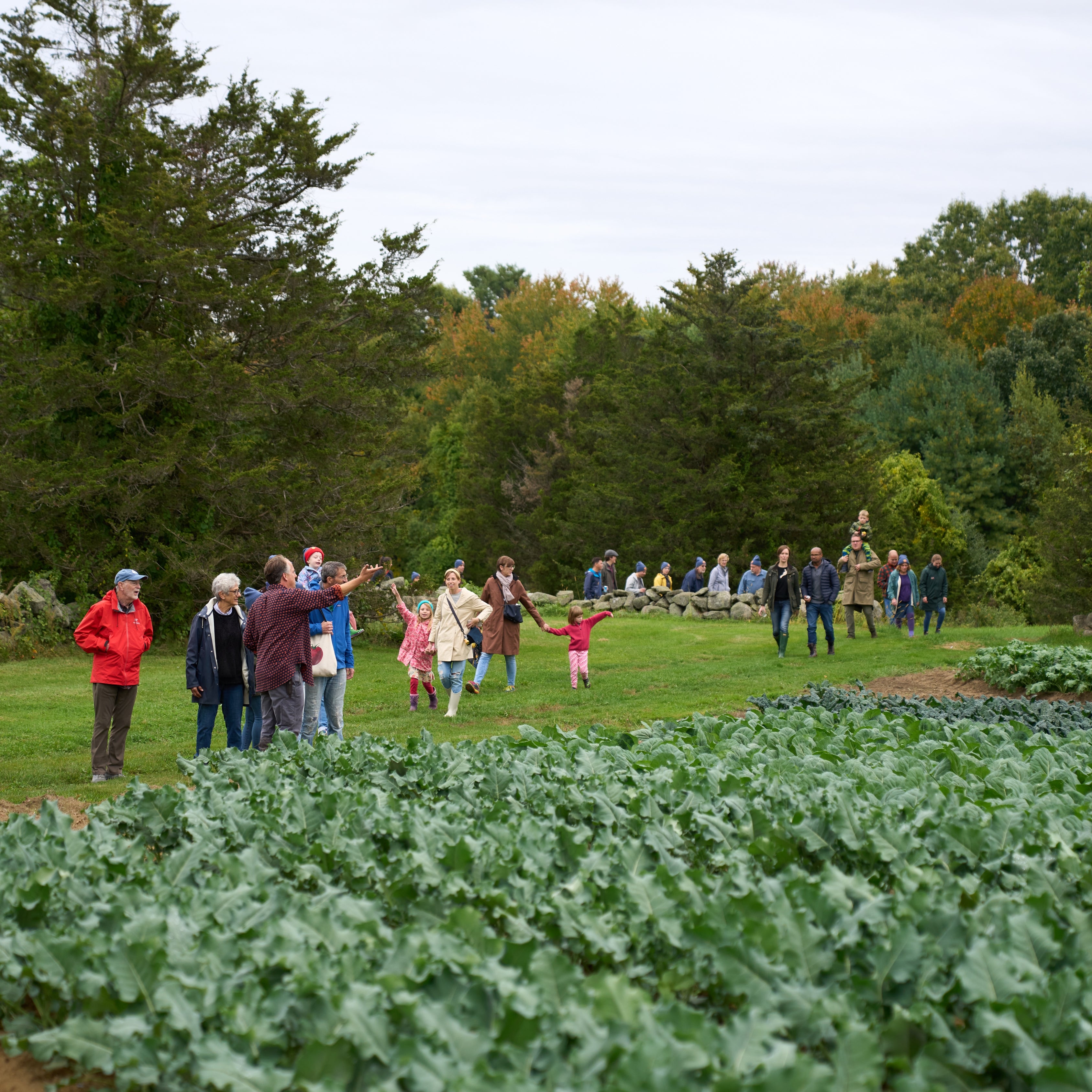 Autumn Farm Dinner