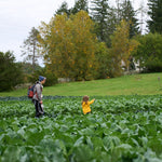 Load image into Gallery viewer, Summer Farm Tour Series
