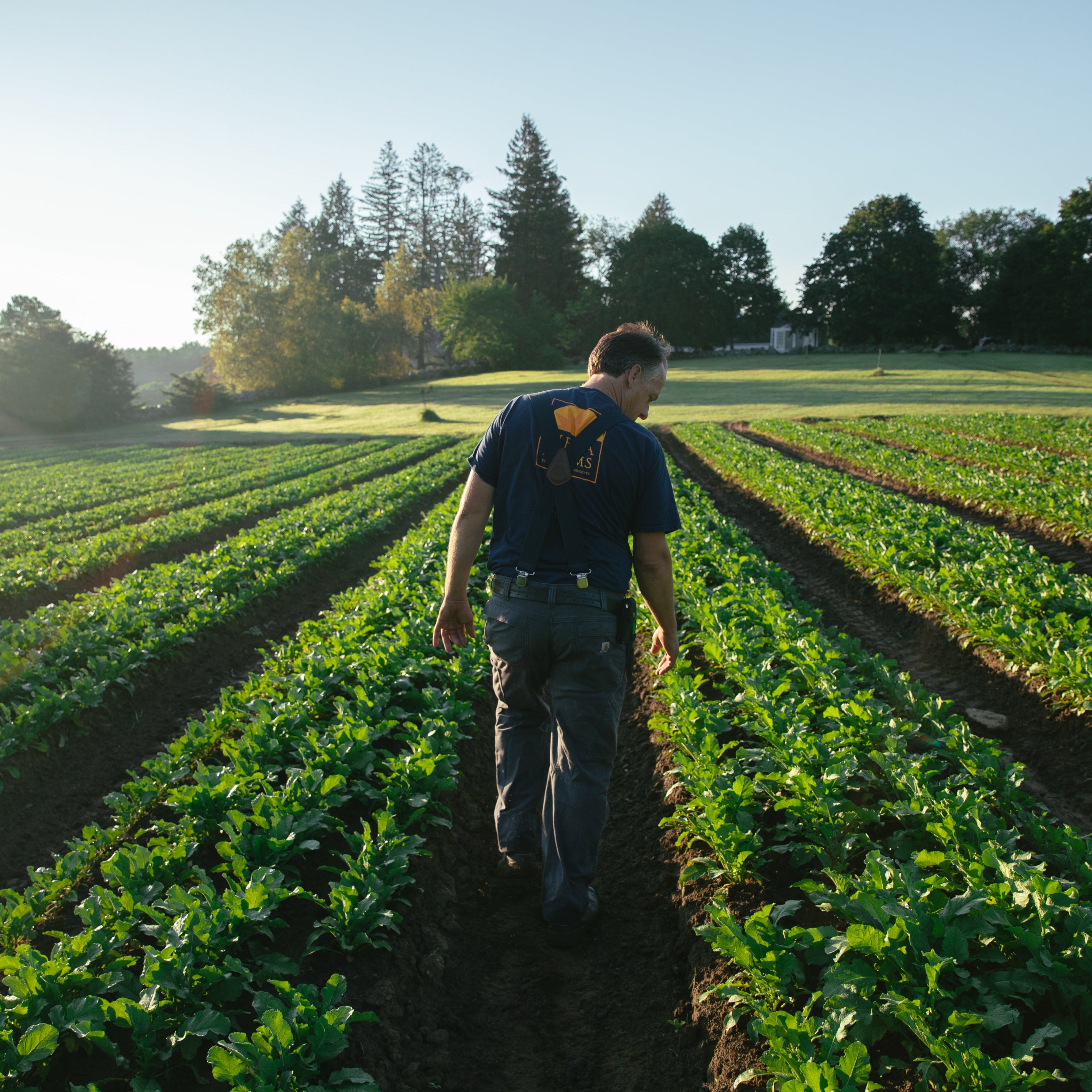 Summer Farm Tour Series