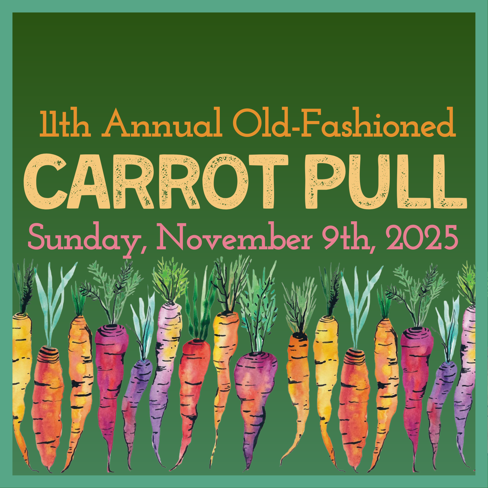 11th Annual Old-Fashioned Carrot Pull