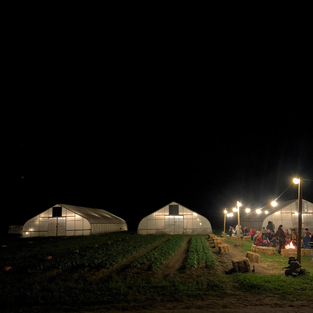 Autumn Farm Dinner