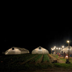 Load image into Gallery viewer, Autumn Farm Dinner
