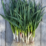 Load image into Gallery viewer, 2026 Garlic Lover's Share
