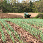 Load image into Gallery viewer, 2026 Garlic Lover's Share
