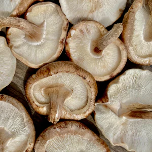 Monthly Mushroom Subscription