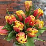 Load image into Gallery viewer, NYC 2025 Spring Tulip Share
