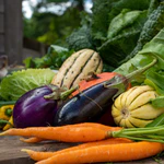 Load image into Gallery viewer, 2024 Autumn Vegetable Farm Share
