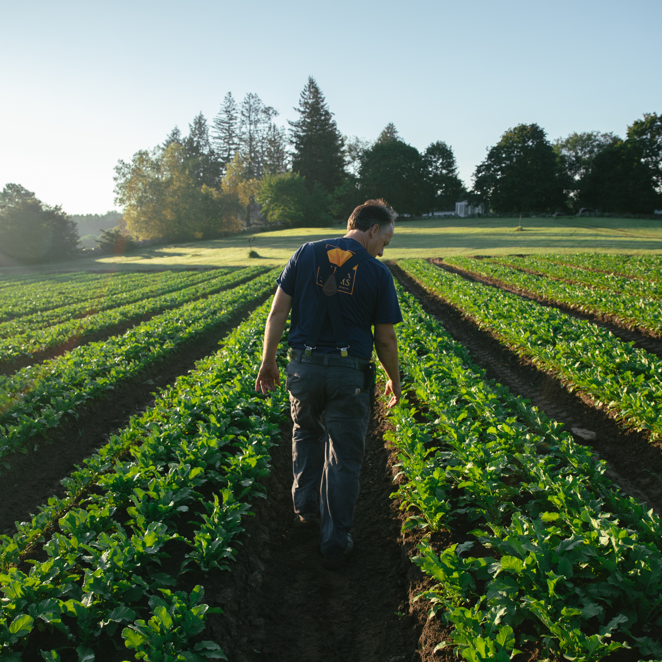 Siena Farms' Resiliency Fund