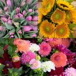 Load image into Gallery viewer, 2027 Four-Season Flower Share
