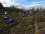 Load image into Gallery viewer, 10th Annual Old-Fashioned Carrot Pull
