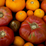 Load image into Gallery viewer, NYC 2024 Tomato Lover&#39;s Share
