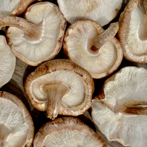 2024 Spring Mushroom Lover's Share