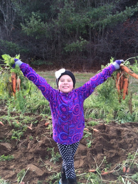 10th Annual Old-Fashioned Carrot Pull