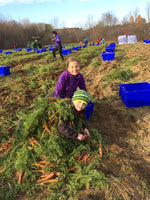 Load image into Gallery viewer, 10th Annual Old-Fashioned Carrot Pull
